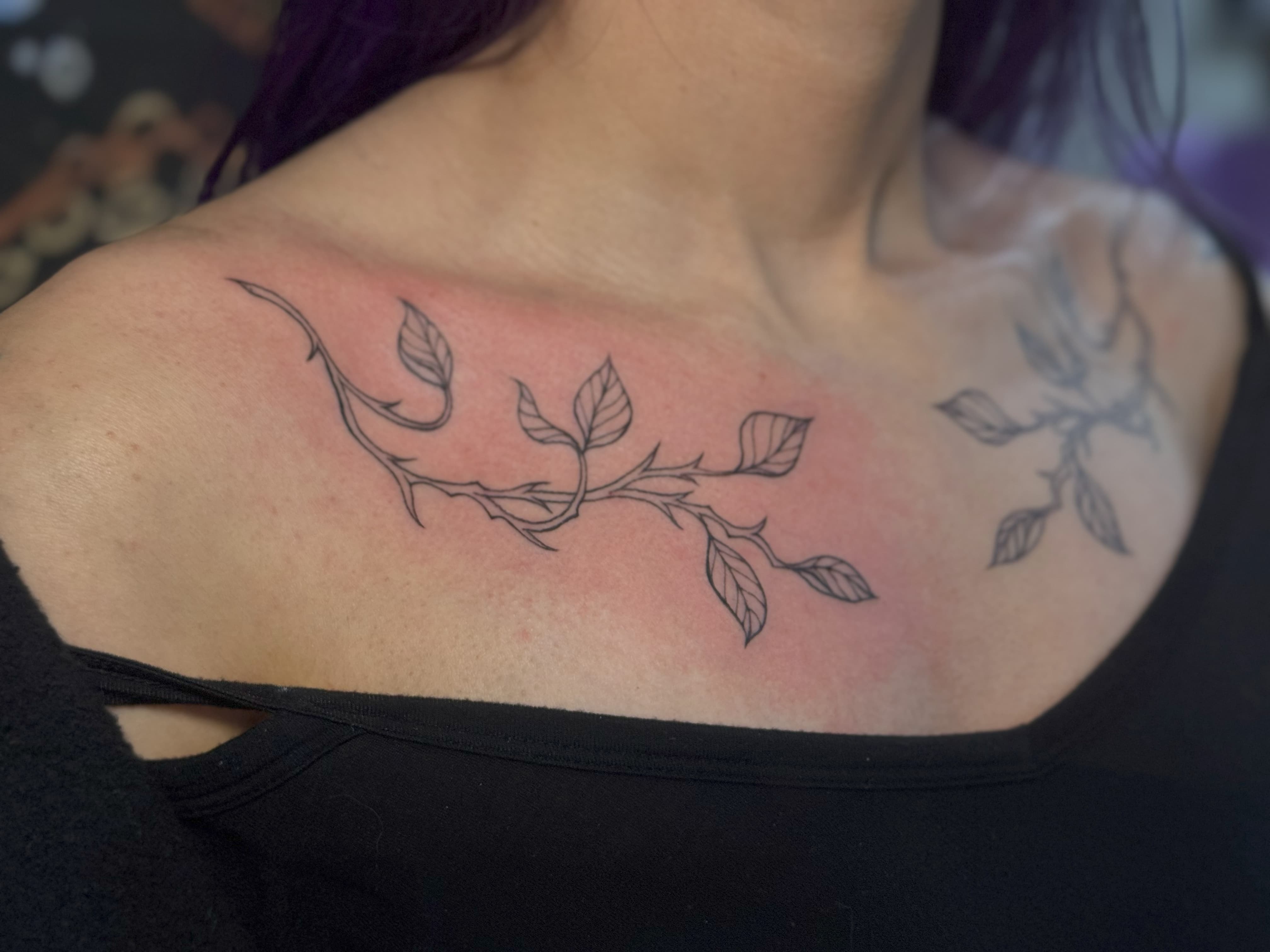 Leafy Branch